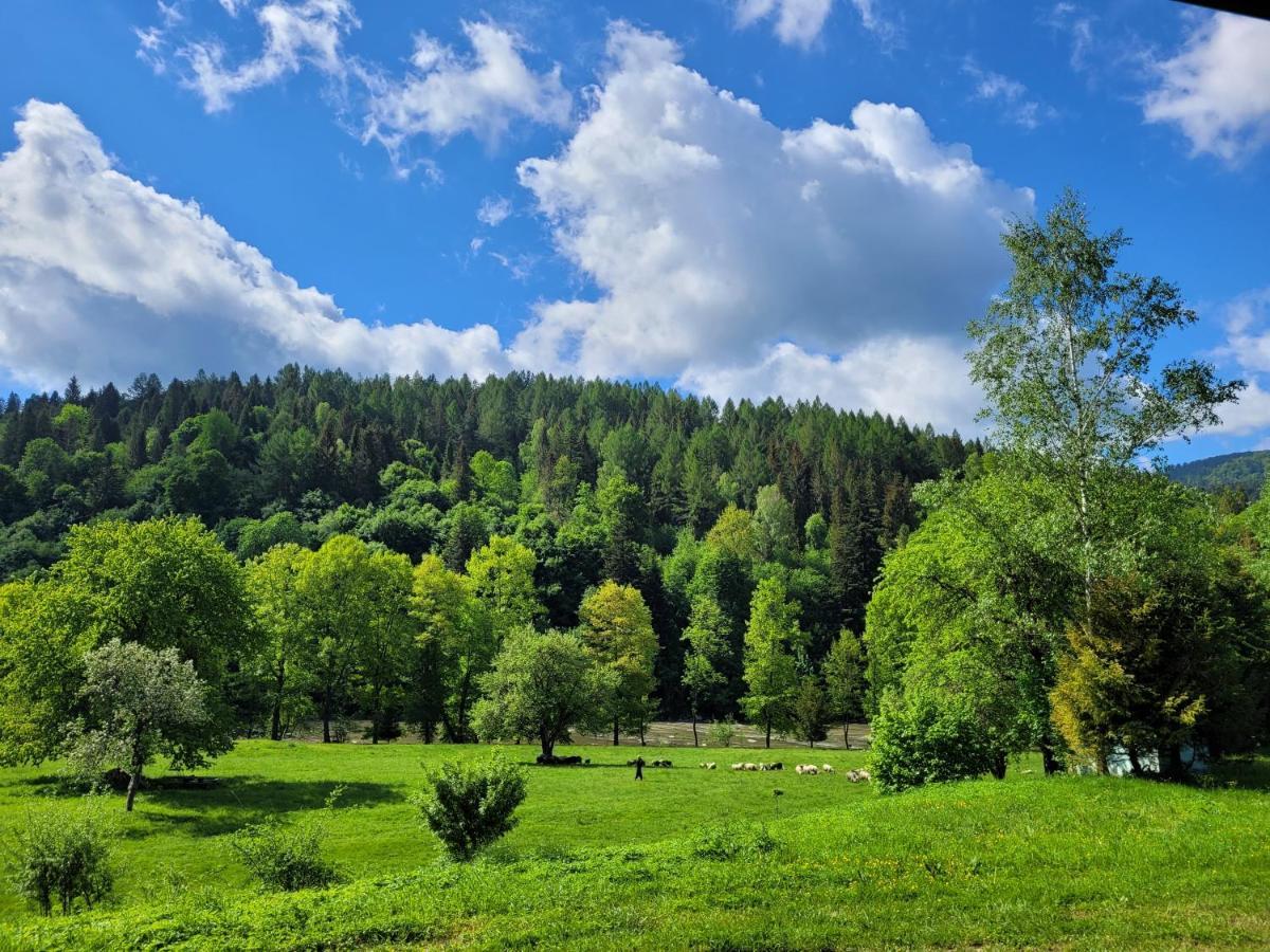 Domki U Gretka Lutowiska Exteriör bild